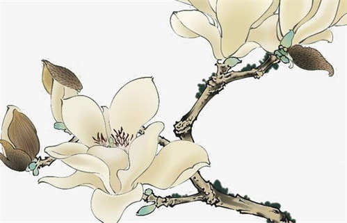 2026年06月15日动土好不好 是动土修造好日子吗 2026年06月15日动土好不好 是动土修造好日子吗