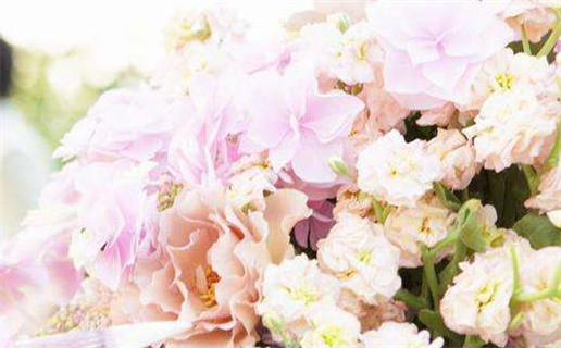2028年10月31日结婚日子如何 今日办婚礼好吗 2028年10月31日结婚日子如何 今日办婚礼好吗