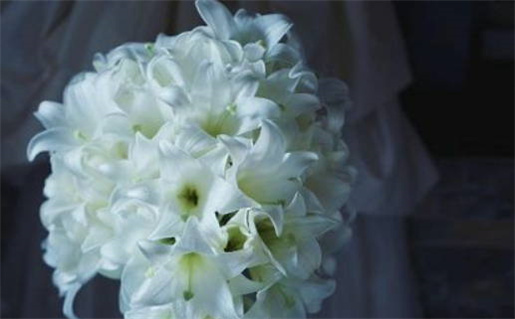 2028年06月13日结婚吉日查询 今日办喜事好吗 2028年06月13日结婚吉日查询 今日办喜事好吗