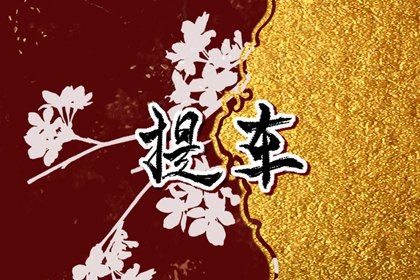 2027年农历三月初三提车黄道吉日 今日提新车好不好