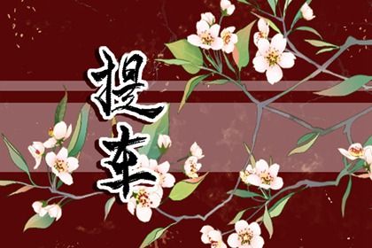 2025年农历闰六月廿八提车好不好 提车吉利吗