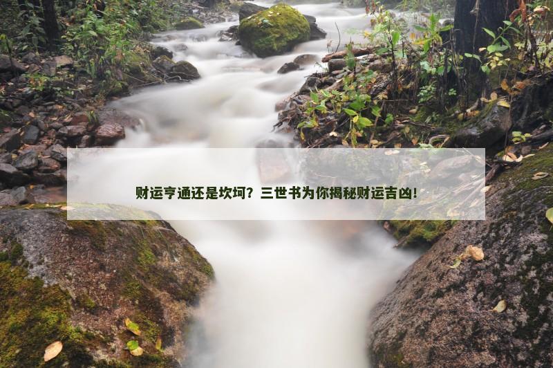 财运亨通还是坎坷？三世书为你揭秘财运吉凶！