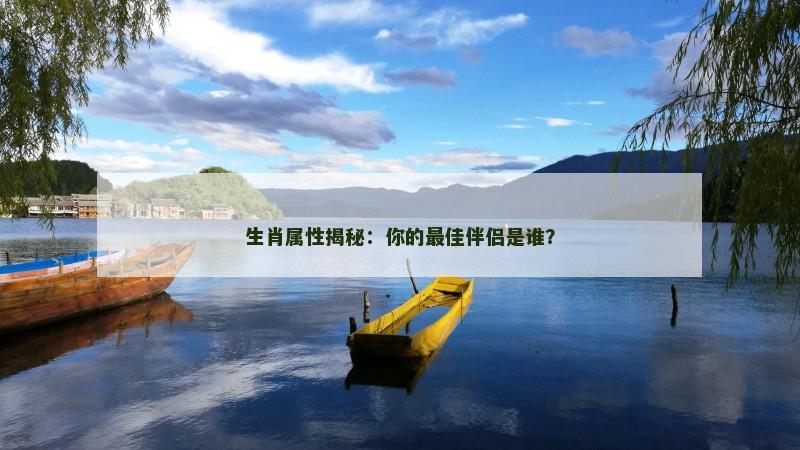生肖属性揭秘：你的最佳伴侣是谁？