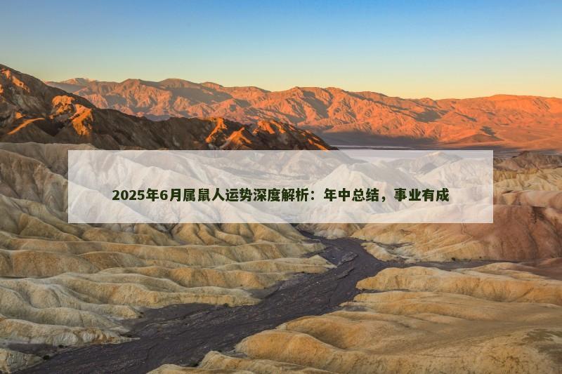2025年6月属鼠人运势深度解析:年中总结,事业有成
