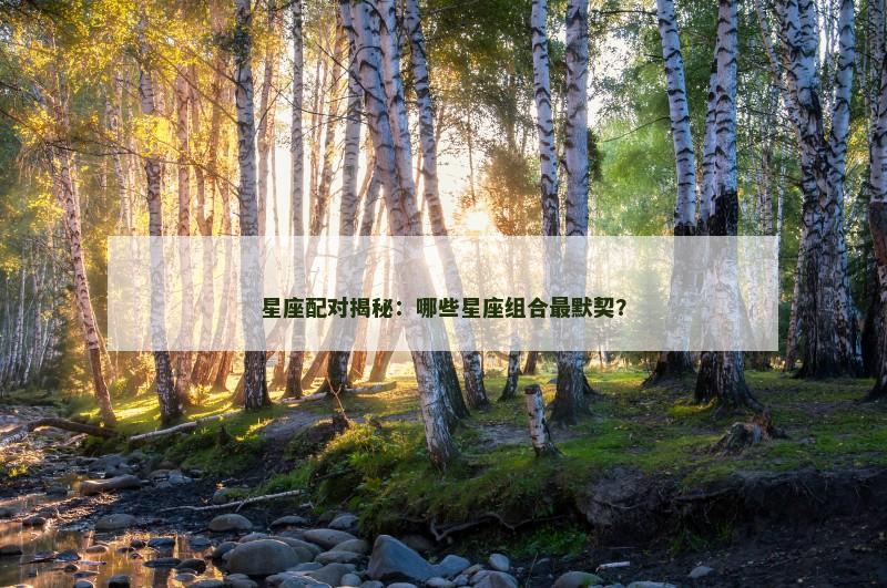 星座配对揭秘：哪些星座组合最默契？
