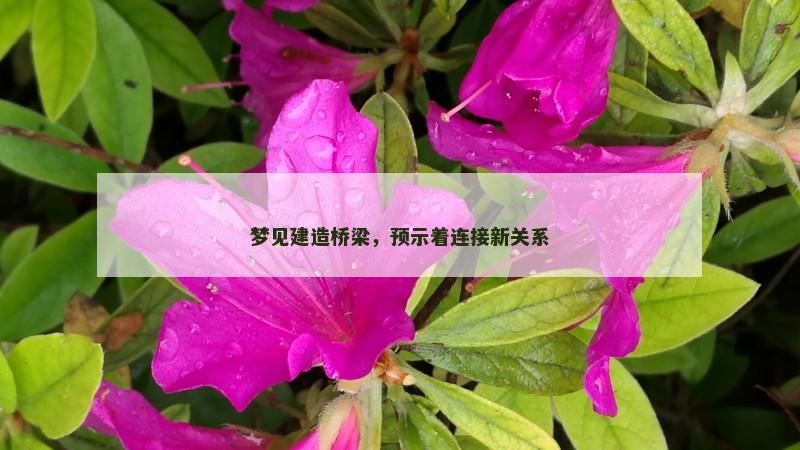 梦见建造桥梁，预示着连接新关系