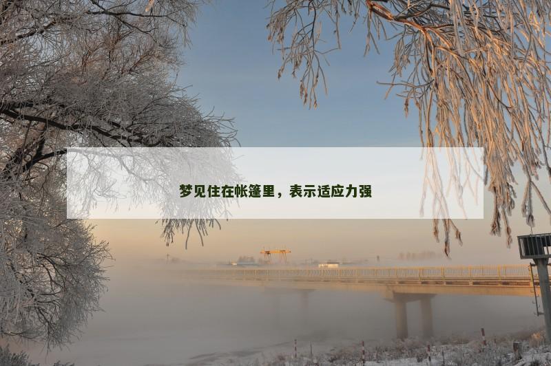 梦见住在帐篷里，表示适应力强