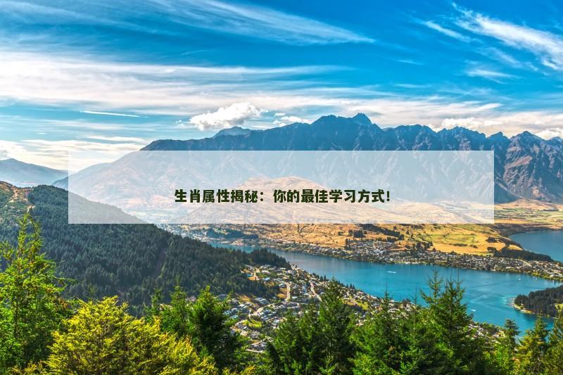 生肖属性揭秘：你的最佳学习方式！