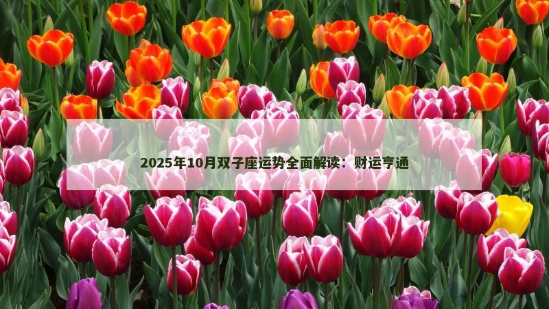 2025年10月双子座运势全面解读:财运亨通