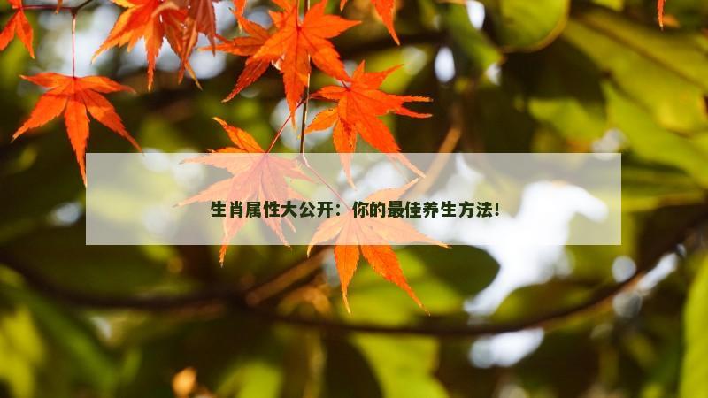 生肖属性大公开：你的最佳养生方法！