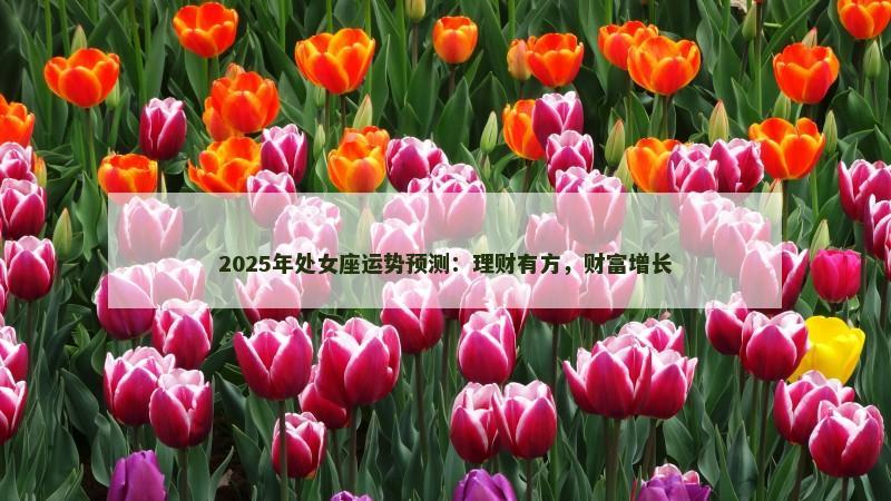 2025年处女座运势预测:理财有方,财富增长