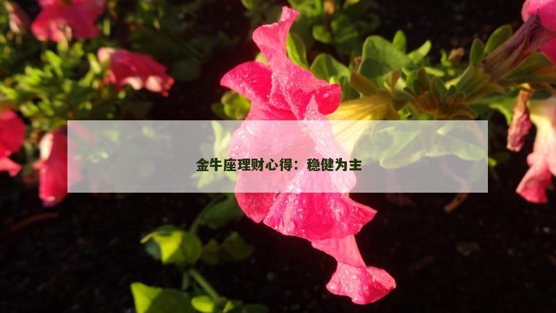 金牛座理财心得：稳健为主
