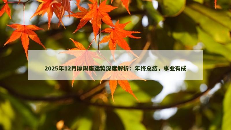 2025年12月摩羯座运势深度解析:年终总结,事业有成