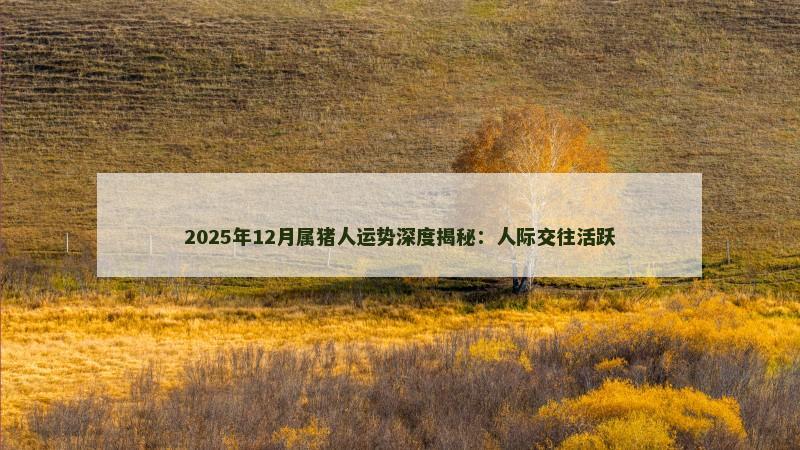 2025年12月属猪人运势深度揭秘:人际交往活跃