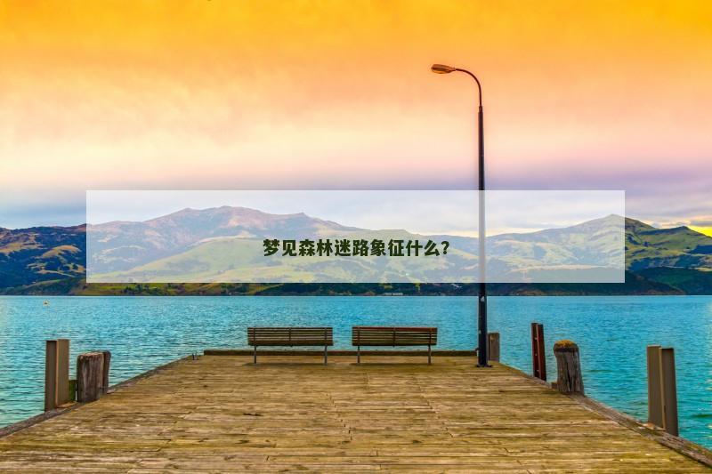梦见森林迷路象征什么?