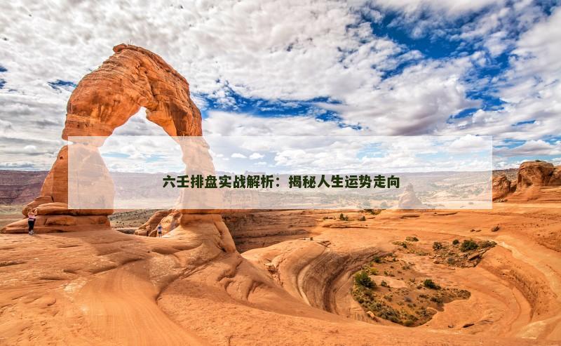 六壬排盘实战解析:揭秘人生运势走向