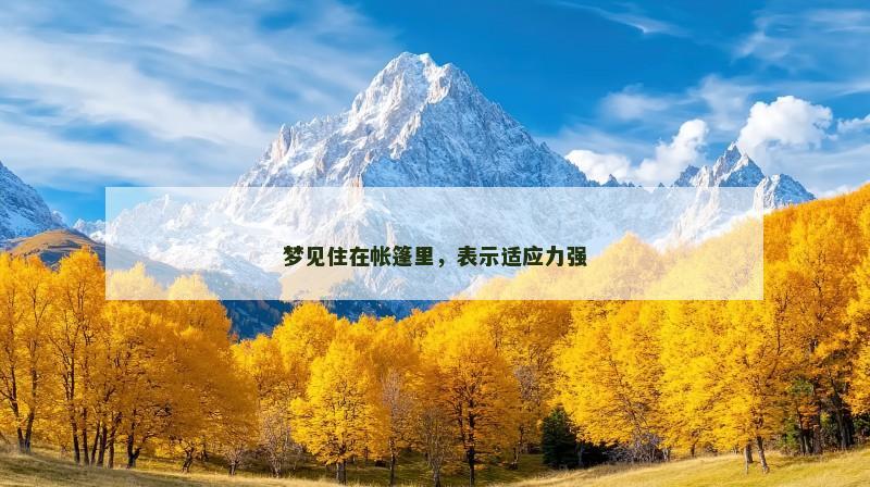 梦见住在帐篷里，表示适应力强