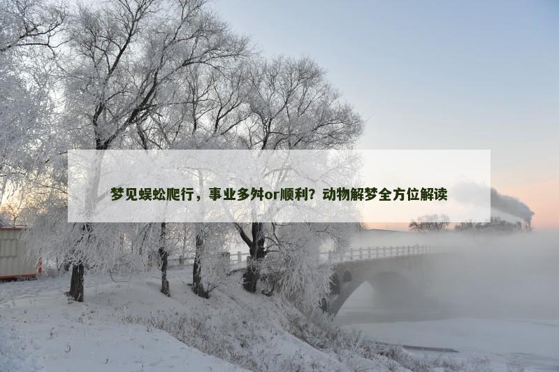 梦见蜈蚣爬行,事业多舛or顺利?动物解梦全方位解读
