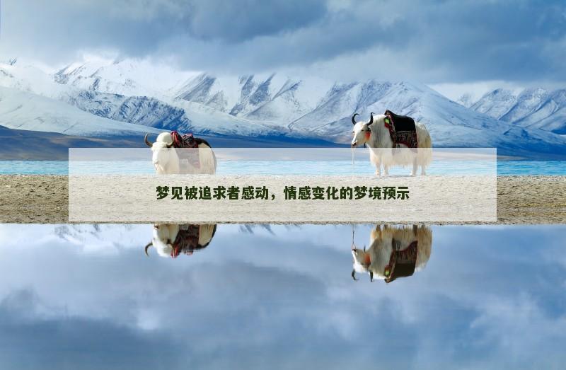 梦见被追求者感动,情感变化的梦境预示