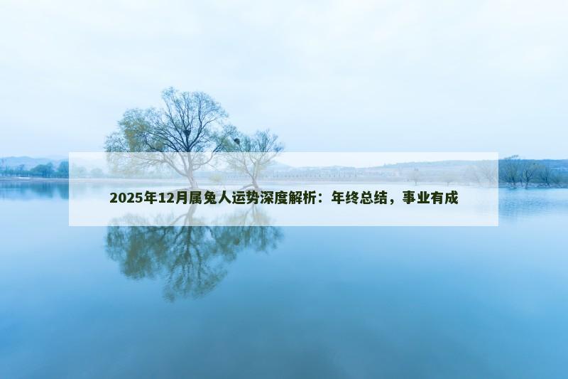 2025年12月属兔人运势深度解析:年终总结,事业有成