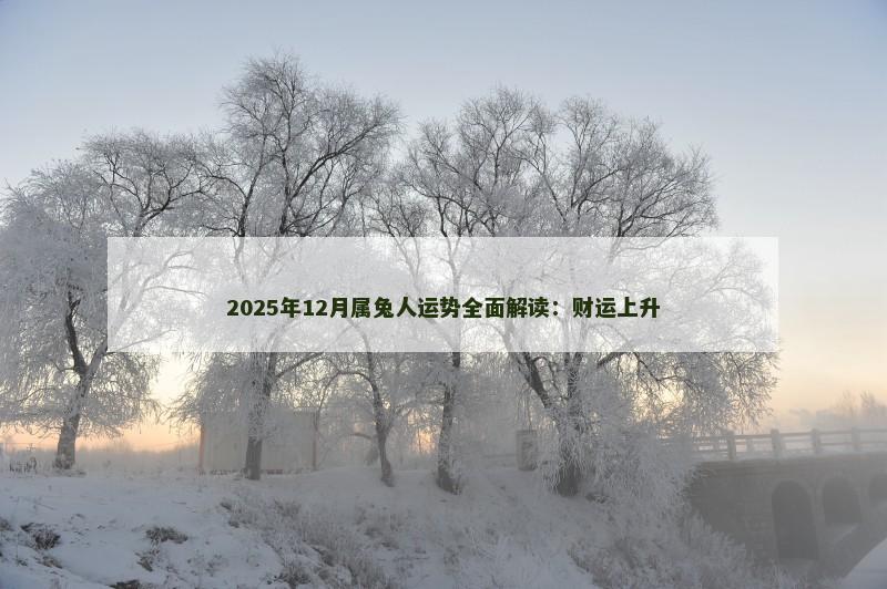 2025年12月属兔人运势全面解读:财运上升