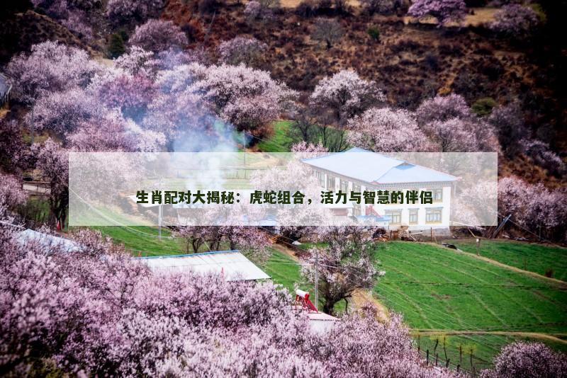 生肖配对大揭秘：虎蛇组合，活力与智慧的伴侣