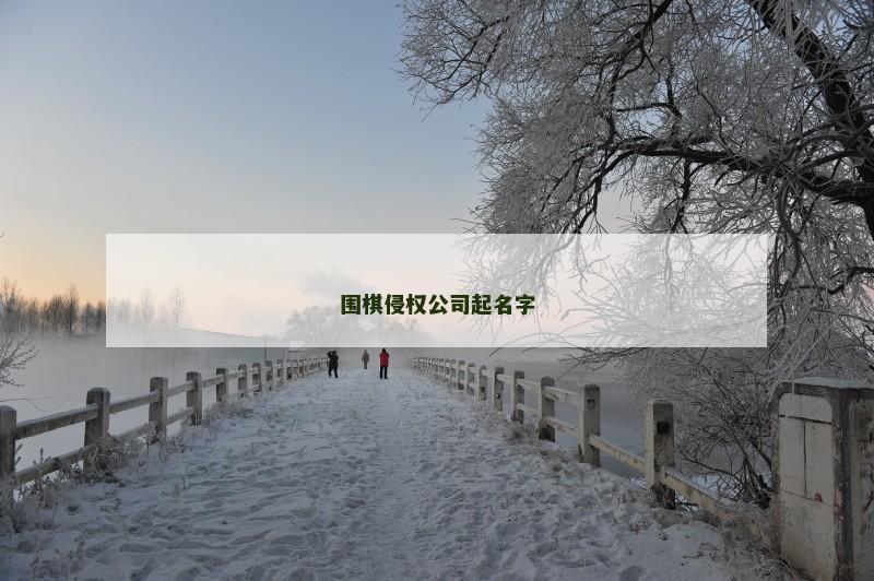 围棋侵权公司起名字