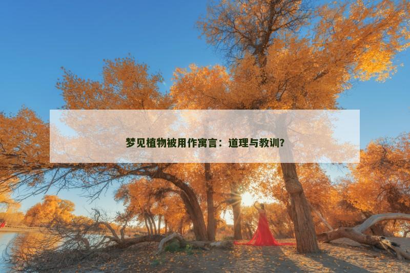 梦见植物被用作寓言:道理与教训?