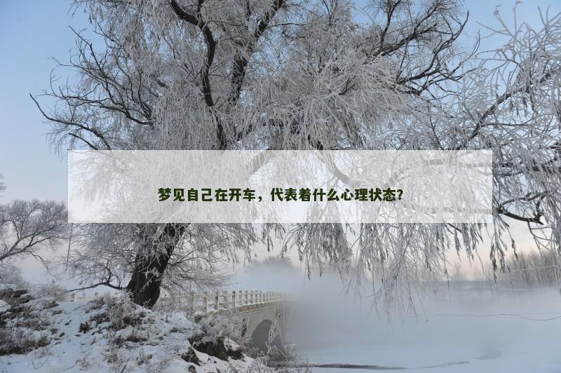 梦见自己在开车,代表着什么心理状态?