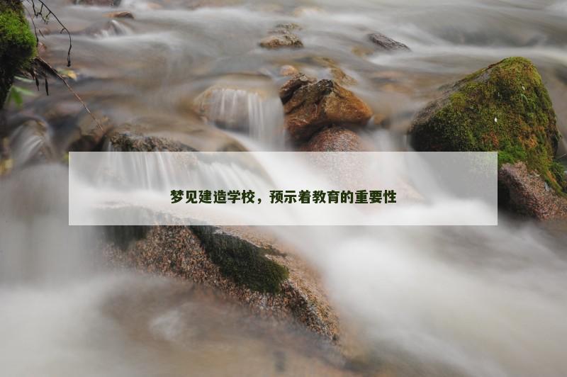 梦见建造学校,预示着教育的重要性