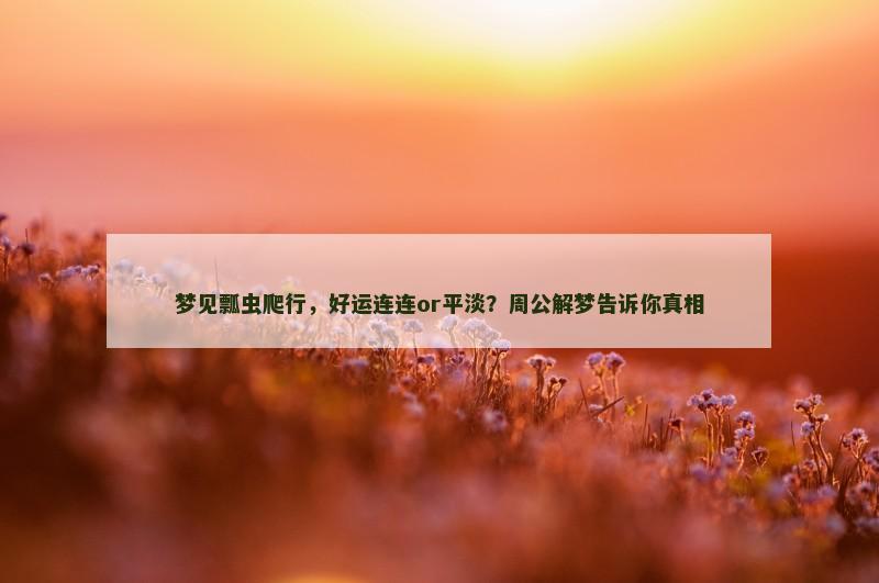 梦见瓢虫爬行,好运连连or平淡?周公解梦告诉你真相
