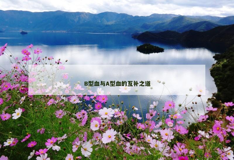 B型血与A型血的互补之道