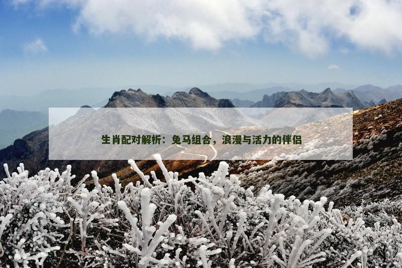生肖配对解析：兔马组合，浪漫与活力的伴侣