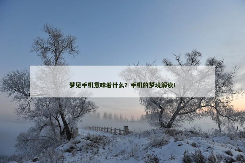 梦见手机意味着什么?手机的梦境解读!