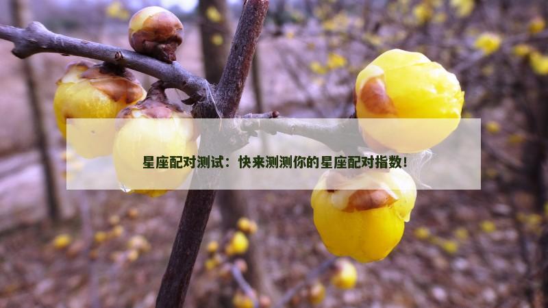 星座配对测试：快来测测你的星座配对指数！