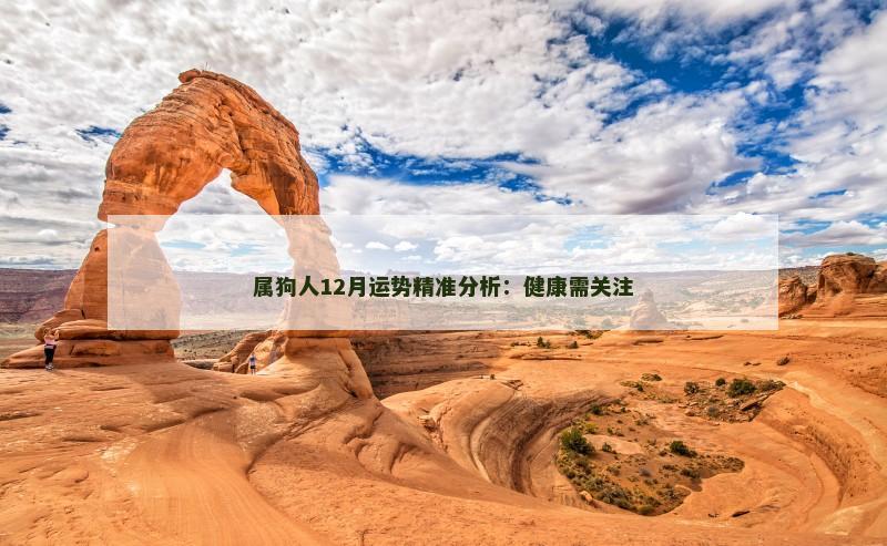 属狗人12月运势精准分析:健康需关注