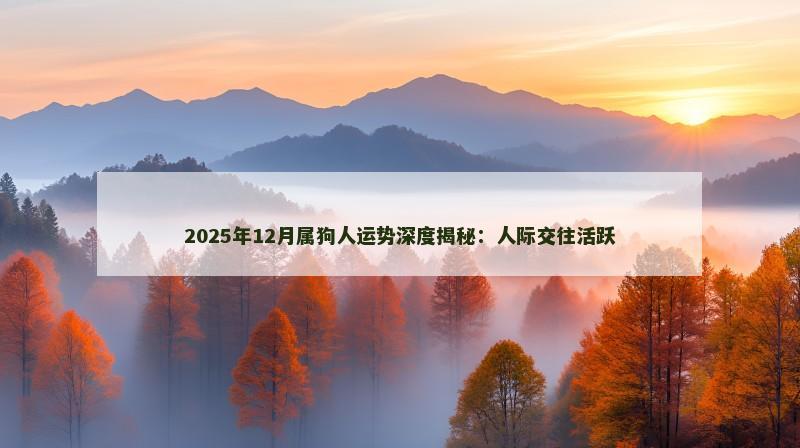 2025年12月属狗人运势深度揭秘:人际交往活跃