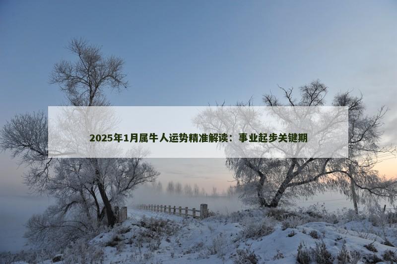 2025年1月属牛人运势精准解读:事业起步关键期