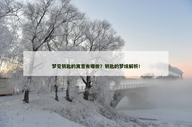 梦见钥匙的寓意有哪些?钥匙的梦境解析!