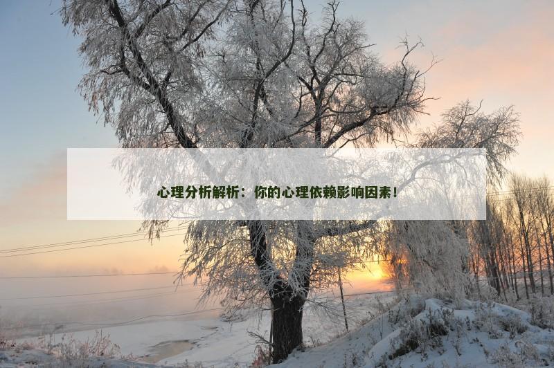 心理分析解析:你的心理依赖影响因素!