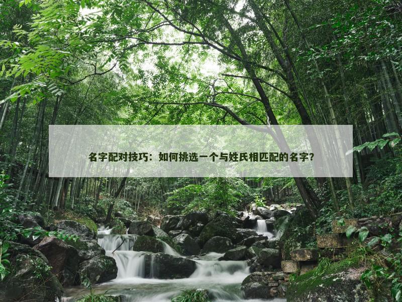 名字配对技巧：如何挑选一个与姓氏相匹配的名字？