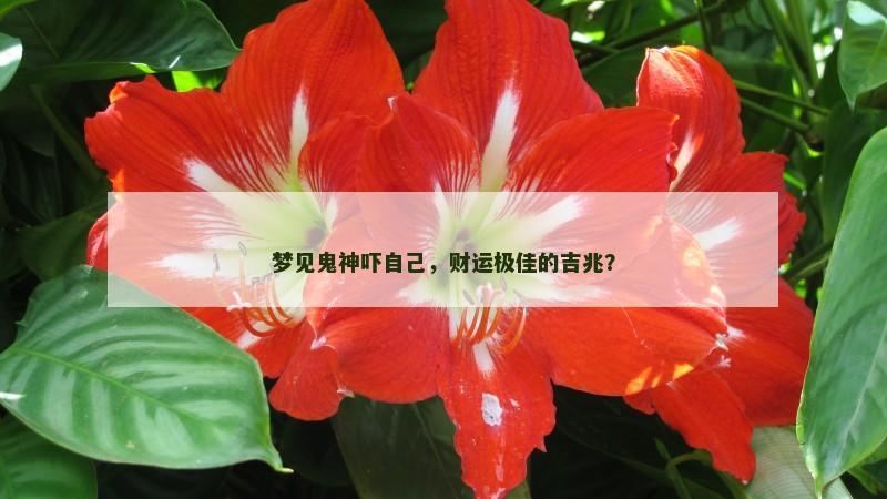 梦见鬼神吓自己,财运极佳的吉兆?