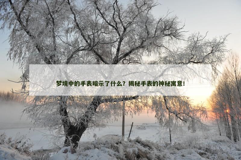 梦境中的手表暗示了什么?揭秘手表的神秘寓意!