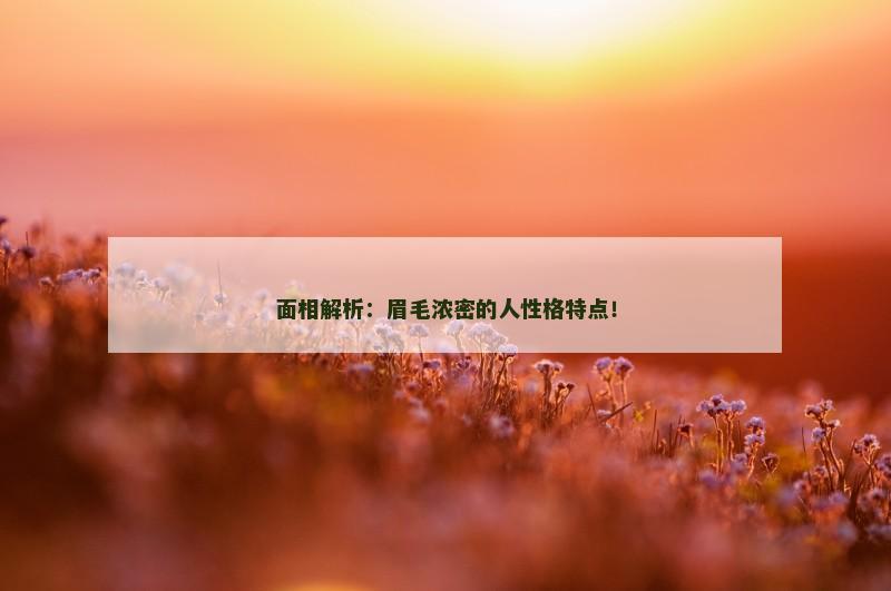 面相解析:眉毛浓密的人性格特点!