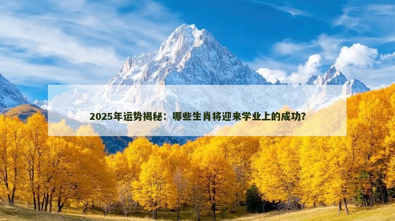 2025年运势揭秘:哪些生肖将迎来学业上的成功?