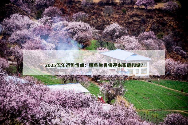 2025流年运势盘点:哪些生肖将迎来家庭和谐?