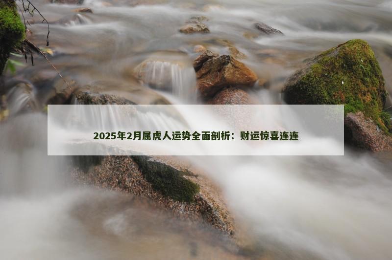 2025年2月属虎人运势全面剖析:财运惊喜连连