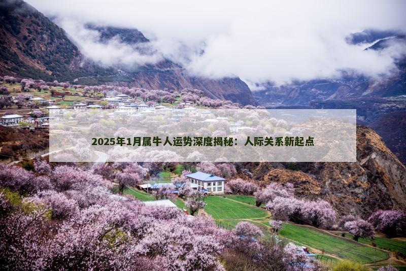 2025年1月属牛人运势深度揭秘:人际关系新起点