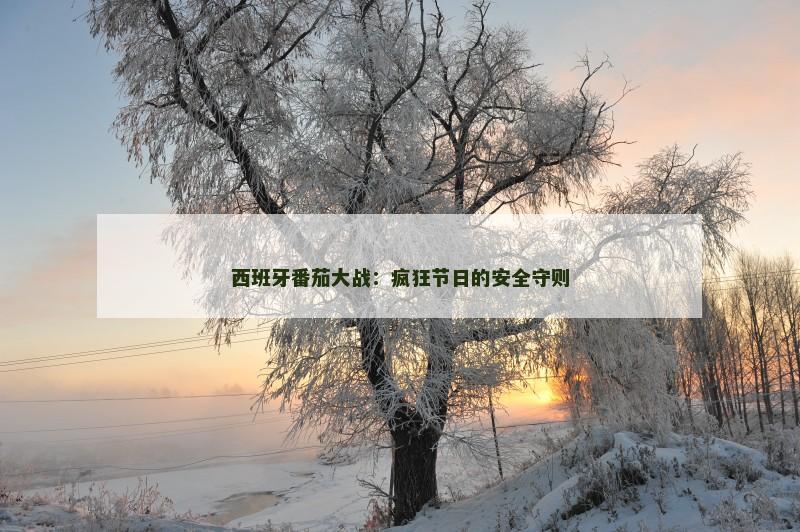 西班牙番茄大战:疯狂节日的安全守则
