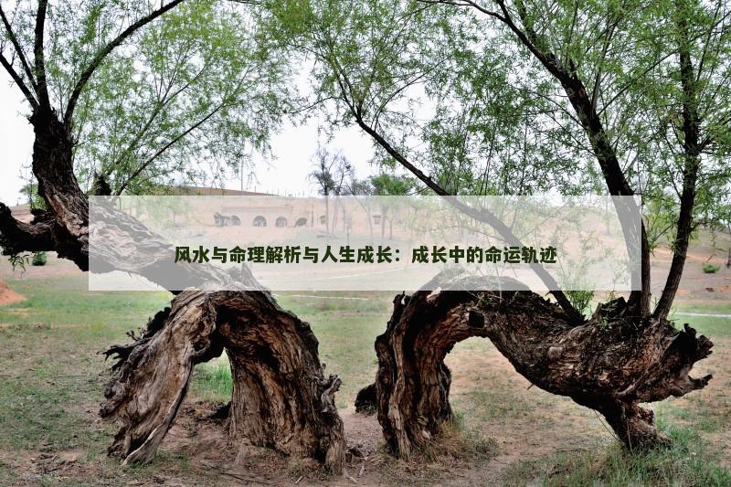 风水与命理解析与人生成长:成长中的命运轨迹